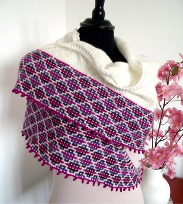 Andean feeling Shawl