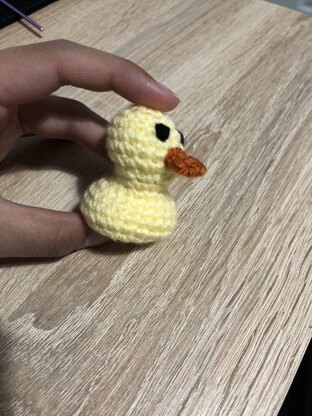 Daisy the duck