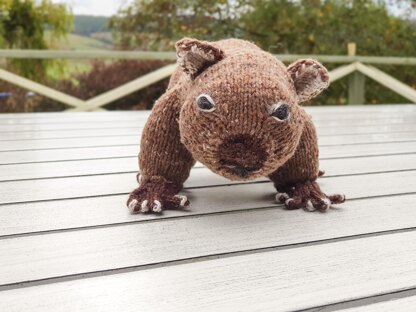 Australian Wombat