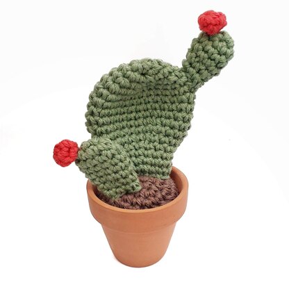 Cactus Amigurumi Bundle