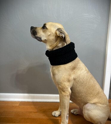 Dog Cowl