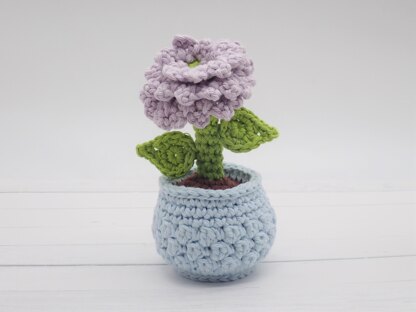 Dahlia in a Flower Pot