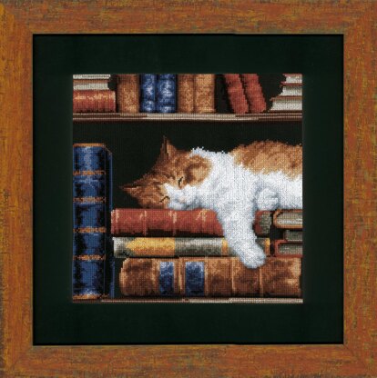 Vervaco Cat Sleeping On Bookshelf  Cross Stitch Kit - 26 x 26 cm