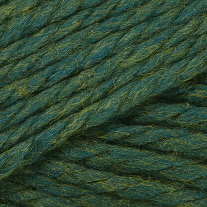 Cascade Yarns - Pacific Chunky - Green Tea 157