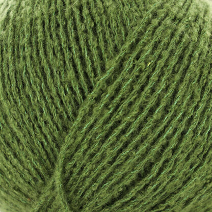 Forest Green Solid (731413)