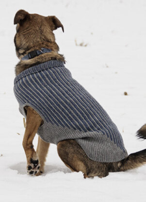 Bird Island Dog Sweater in Blue Sky Fibers Woolstok - 201610 - Downloadable PDF