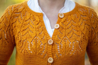 In Between Dreams Cardigan