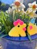 Sally The Spring Chicken