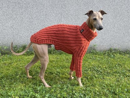 Dog Sweater ACRI CABLE