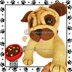 Mr Puggles