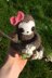 Baby Sloth Plushie with Bow