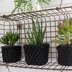 Project : 3 Plant Cozies