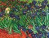 Diamond Dotz Diamond Painting Set Irises (Van Gogh)