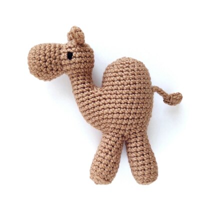 Lil Caramel the Camel