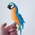Macaw parrots