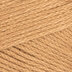 Camel (124)