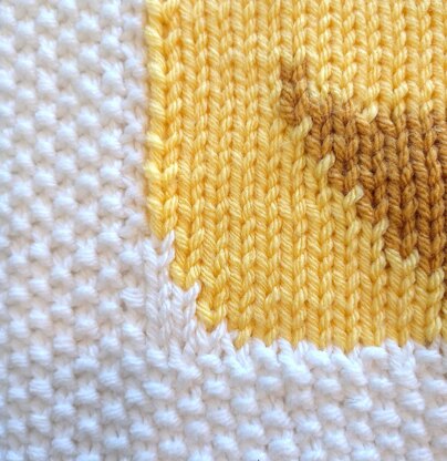 Chickee Poo Baby Blanket