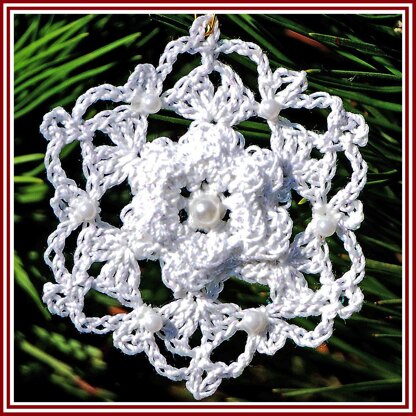 Snowflakes From Jack Frost's Garden