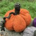 Pumpkin Patch Family [knit]