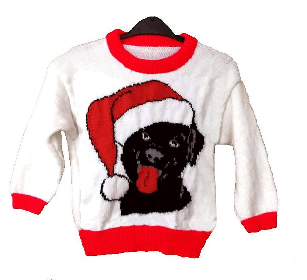 Labrador on sale christmas jumper