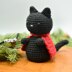 Brio the Cat