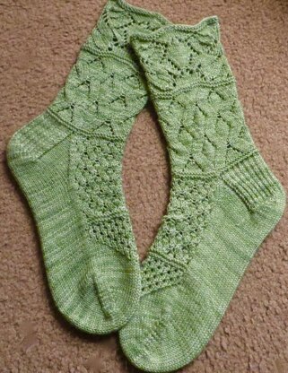 Darwin Socks