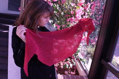 A Yarn Shop Shawl