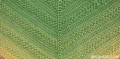 Lovely Luisa Shawl