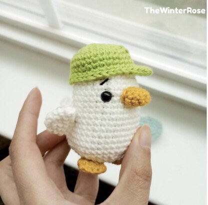 Ducky The Skateboarder