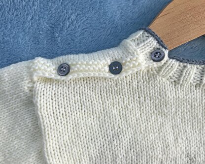 P49 Albie the Elephant Jumper/Sweater