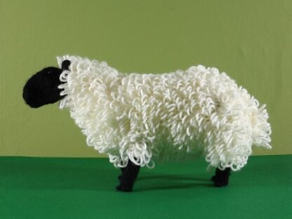 Welsh mountain sheep