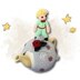 Little Prince Tea Cosy
