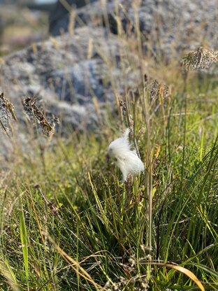 Cotton Grass sweater