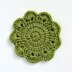 Succulent Plant Coasters