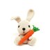 BUNNY with Carrot