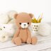 Bernard the Teddy Bear