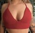 The Scarlet Bralette