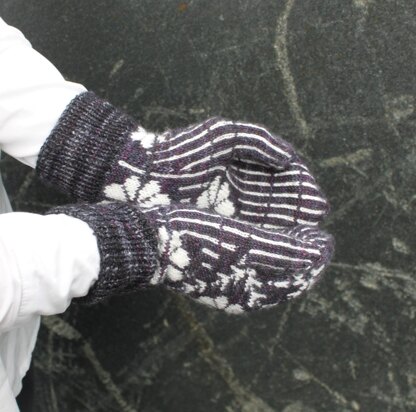 Phlox Mittens