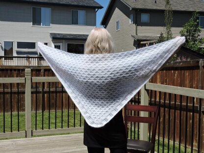 Beautiful Bridal Shawl