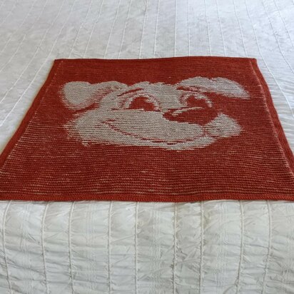 Canis Minor Illusion Baby Blanket