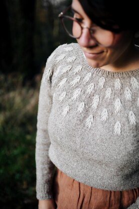 Into the woods (jumper)