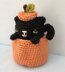 Crochet Cat in a Pumpkin