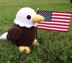 George the Bald Eagle