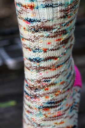 Quiver Socks