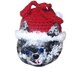 Santa Claws Gift Bag