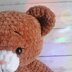 Browny the plush bear