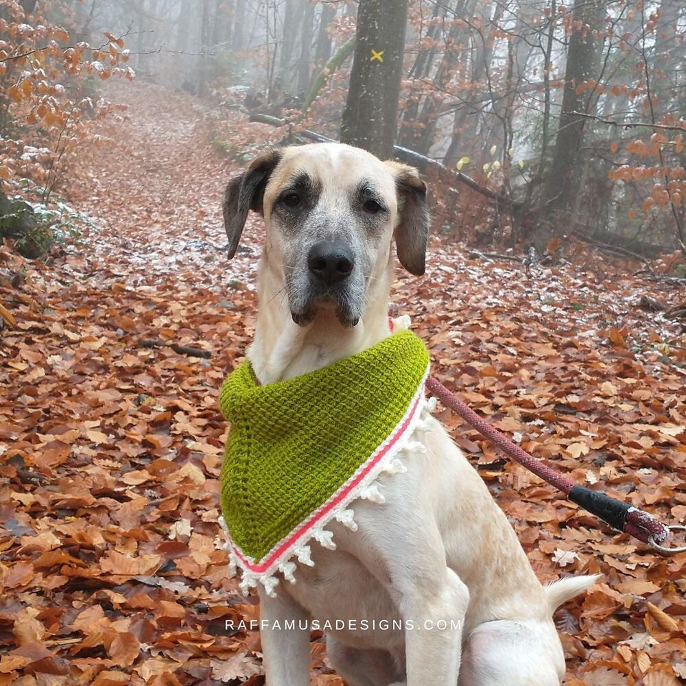 Easy crochet dog store bandana