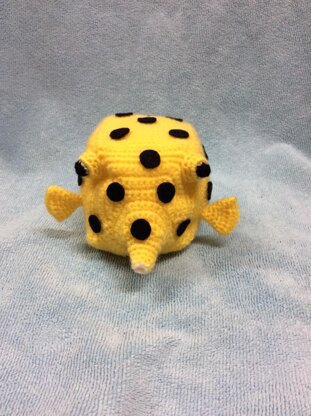 Sea Creatures Boxfish