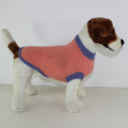 Simple Aran Dog Coat