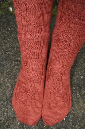 Fossilised Ferns Socks